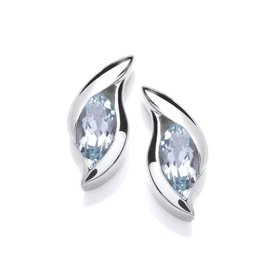 Silver & Cubic Zirconia 'Surfs Up' Earrings