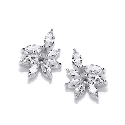 Iris Silver & Cubic Zirconia Earrings