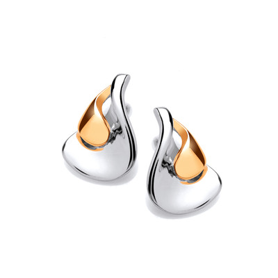 Silver & Gold Plated Tranquil Earrings